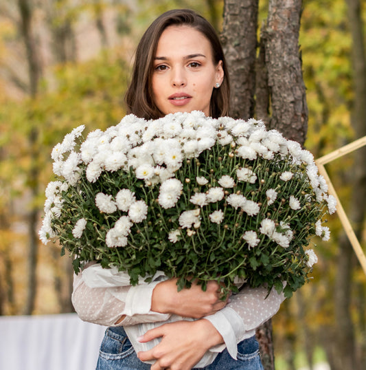 WhatsApp Image 2020-12-22 at 01.21.48