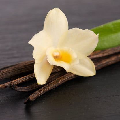 Balzam za usne VANILIJA